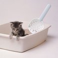 thumbnail image 3 of Litter Scoop, Poop Scoop, Cat Litter Scoop, Plastic Scoop., 3 of 9