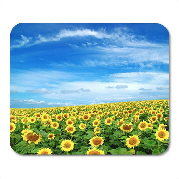 NUDECOR Green Agriculture Sunflower Field Over Cloudy Blue Sky Yellow Mousepad Mouse Pad Mouse Mat 9x10 inch