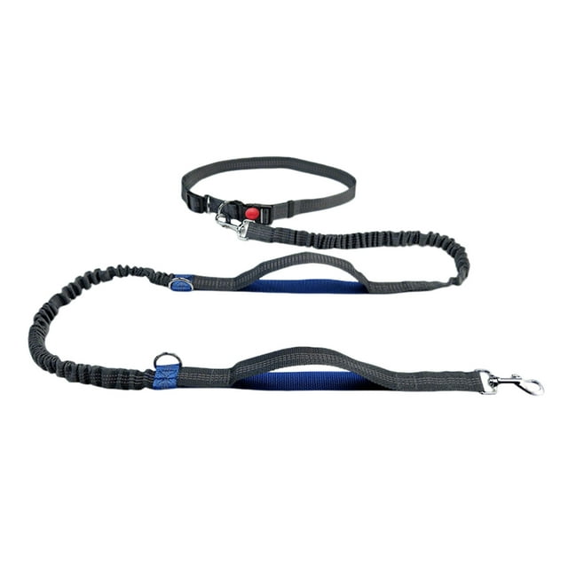 BKER Laisse pour Animaux de Compagnie Extérieur Course Réfléchissante Double Extensible Laisse pour Chien Chaîne Laisse Fournitures pour Animaux de Compagnie