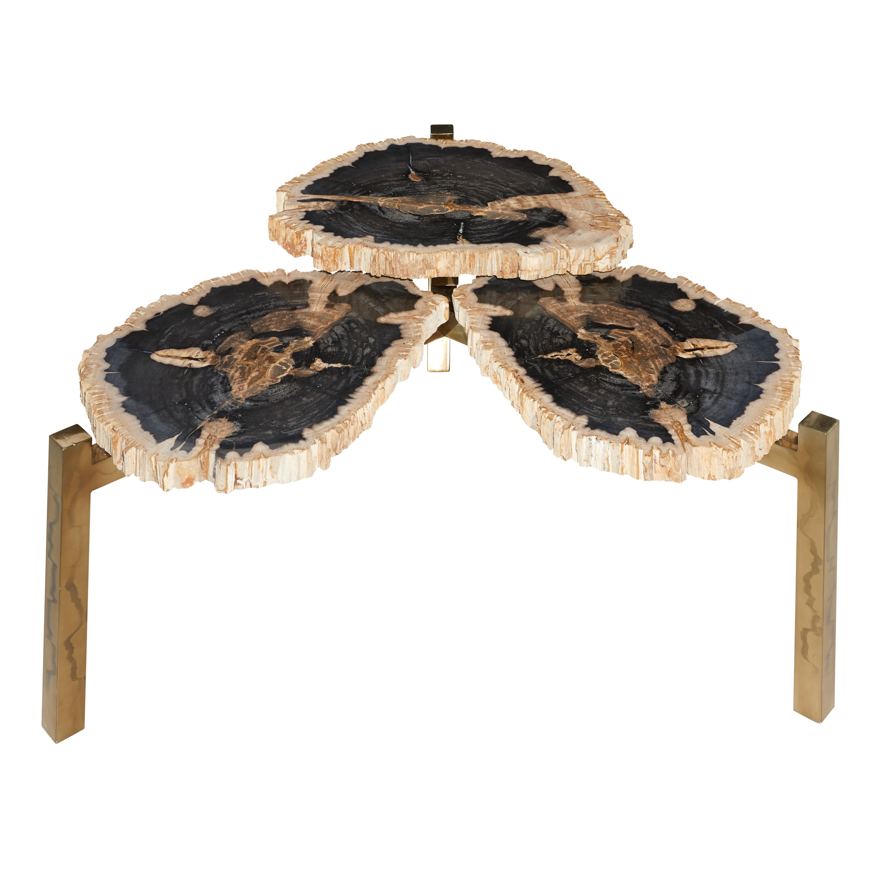 DecMode 40" x 19" Brown Petrified Stone Handmade Petrified Wood Coffee Table with Gold Base, 1-Piece