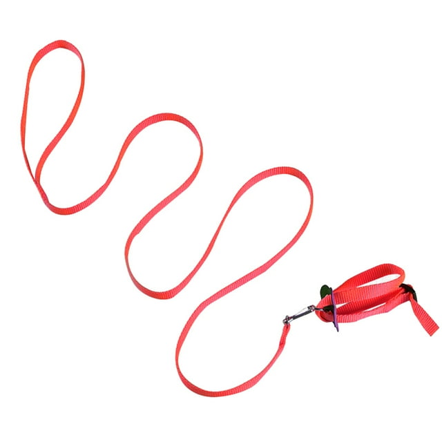 Small Animal Harness and Leash Set Adjustable Hamster Walking Leash Rat Harness