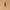 Camel, variant on Time and Tru Women's Slotted Perforated Suede Belt, Camel