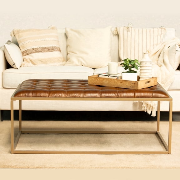 Mango Furniture Co Inc Transitional Leather Coffee Table, Brown