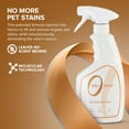 thumbnail image 2 of Pet Stain Remover & Odor Eliminator - Permanently Remove Stain & Odor with Patented Technology Best for Carpet, Furniture, Floors, Pet Bed– Look and Smell Great, 16oz (Over 400 Sprays), 2 of 4