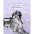 thumbnail image 3 of (Pack Of 4) Bundle x Joy Salmon Wild Dog Food Dry 4 Lb, 3 of 7