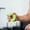 Green, variant on Grip Strength Trainer (10-60lbs) 5 Resistance Levels, Silicone Hand Grip Strengthener Rings for Rock Climbing Athletes Finger Workout Stress Relief