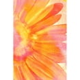 thumbnail image 3 of Kimberly, Allen 11x14 Black Modern Framed Museum Art Print Titled - Blooming Bright, 3 of 5