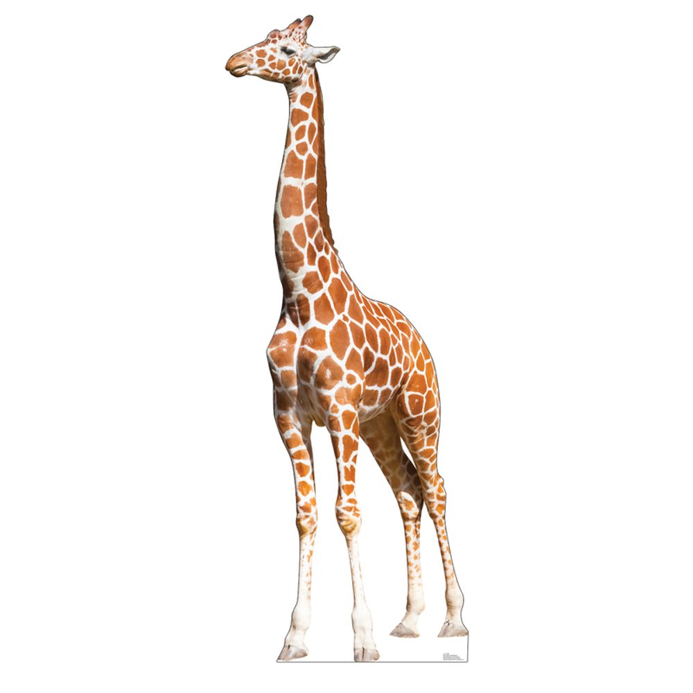 Giraffe Cardboard Cutout Stand Up, 7ft