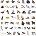 thumbnail image 3 of 50 Pegatinas de Animales del Bosque, Pegatinas de Animales con Foto para Niños de 2 a 12 Años, Resistentes al Agua, 3 of 5