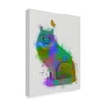 thumbnail image 2 of Fab Funky 'Cat Rainbow Splash 12' Canvas Art, 2 of 3