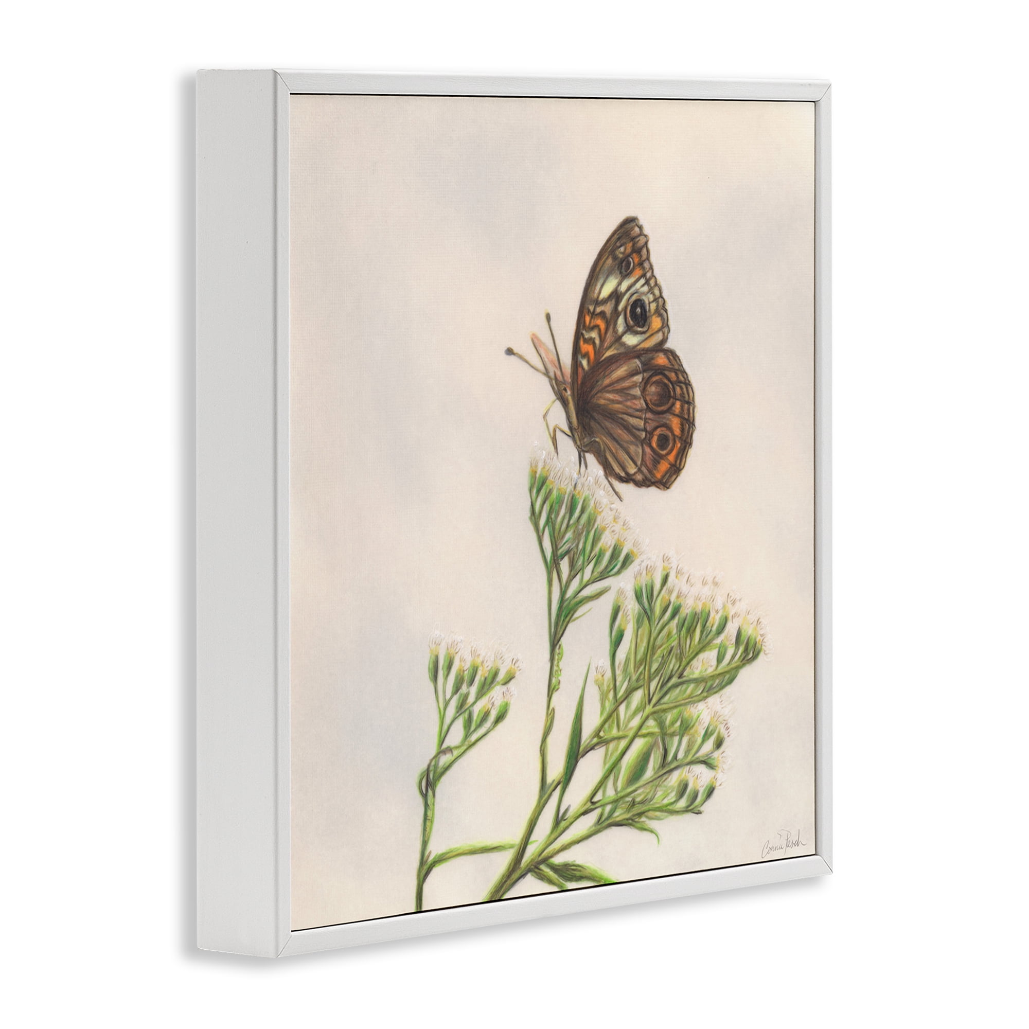 Stupell Industries Spring Offerings Butterfly Animals & Insects Painting White Framed Art Print Wall Art, 12 x 12
