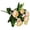 Apricot, variant on hulanddfd Spring Flowers Artificial Silk Camellia Flowers Bouquets Fake Flowers for Centerpiece Table Wedding Party Home Decor(Apricot)