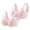 PK2, variant on 2 Pack Bra for Women Front Closure Bras Floral Lace Bras No Underwire Bras Everyday Bra Comfy Bras