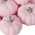 thumbnail image 2 of WESAPPINC Artificial Pumpkins,12PCS Pink Fake Pumpkins Assorted Pumpkins Large Faux Harvest Pumpkins for Autumn Thanksgiving Halloween Seasonal Holiday Decor Decoration (12PCS Small Pink Pumpkins), 2 of 4