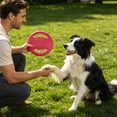 thumbnail image 3 of ZZHZGZ on Sale with Handles Floating Training Activity Flyer, 3 of 6