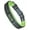 Green, variant on Mighty Paw Sport Collar 2.0 | Soft Neoprene Padded Dog Collar for Maximum Comfort. (Grey) (Large)