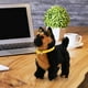 thumbnail image 4 of Juguete interactivo Froplay para perro que camina y ladra con música | Simulación realista de mascota para niños | Material de felpa suave con detección táctil inteligente, 4 of 5