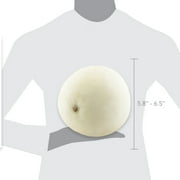Fresh Honeydew Melon, Each