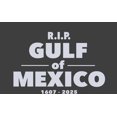thumbnail image 4 of RIP Gulf of Mexico 1607-2025 Youth Charcoal Crew Neck Short Sleeve Tee-XS, 4 of 4