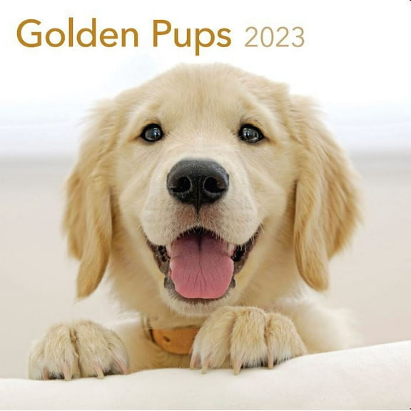 2023 - 12 Month Calendar-Golden Pups 12x12 Hanging Wall Calendar by DaySpring