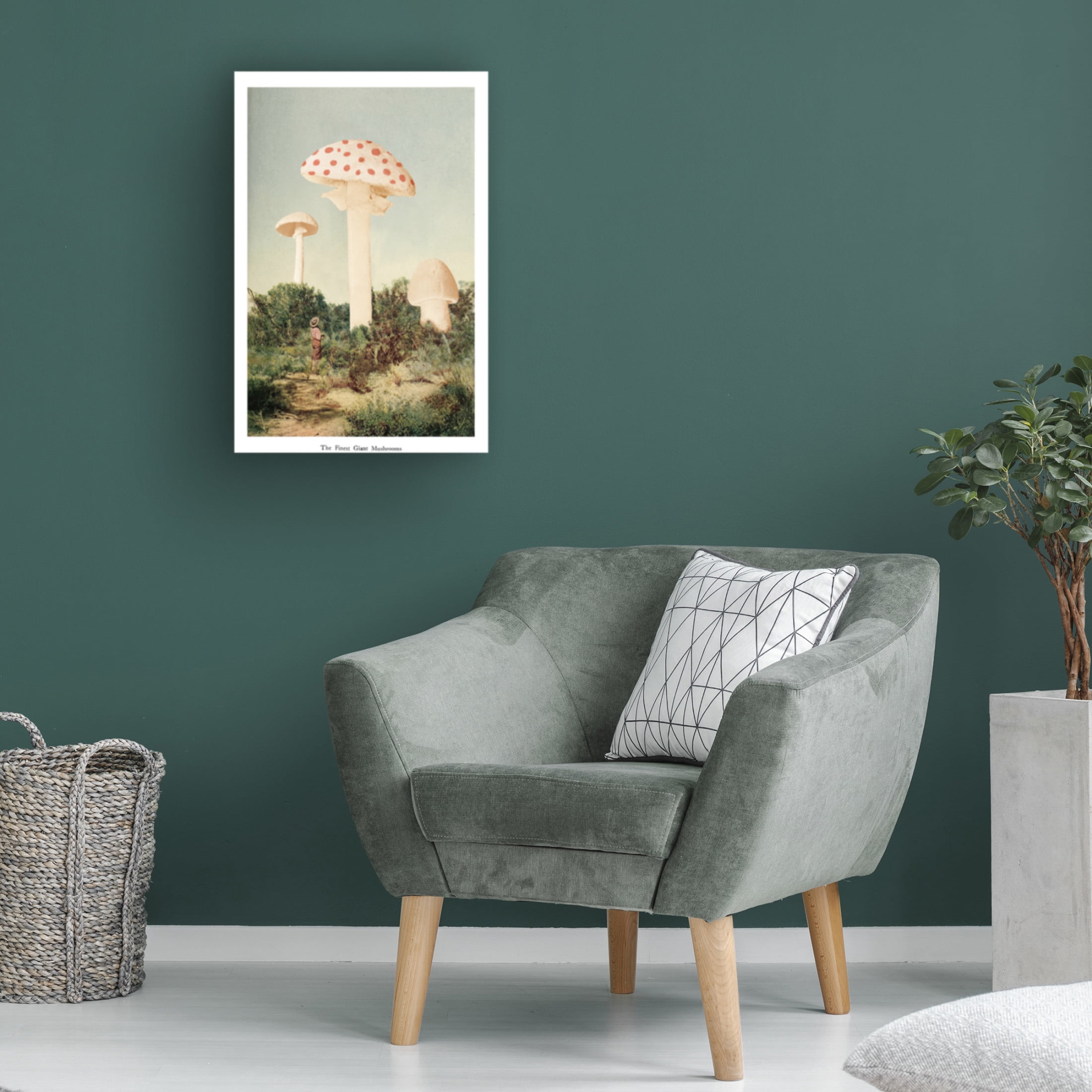 Trademark Fine Art Florent Bodart The Finest Giant Mushroom Canvas Wall Art
