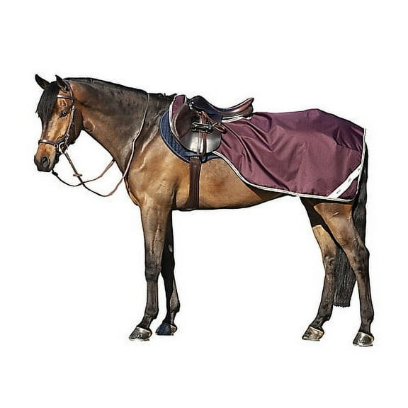 Amigo Ripstop Competition Sheet M Burgundy Fig