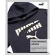 thumbnail image 3 of Sudadera con capucha PUMA Performance Fleece para niños, tallas 10-12, gris, 3 of 6
