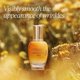 thumbnail image 2 of Sérum Antiarrugas L'Occitane Immortelle Divine 30 ml, 2 of 5