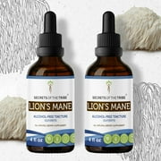 Secrets Of The Tribe Lion's Mane Tincture Dietary Supplement, Natural Herbal Extract for Cognitive Support, Lion's Mane (Hericium erinaceus) Dried Mushroom, Alcohol-Free Extract, Drops 2x4 oz