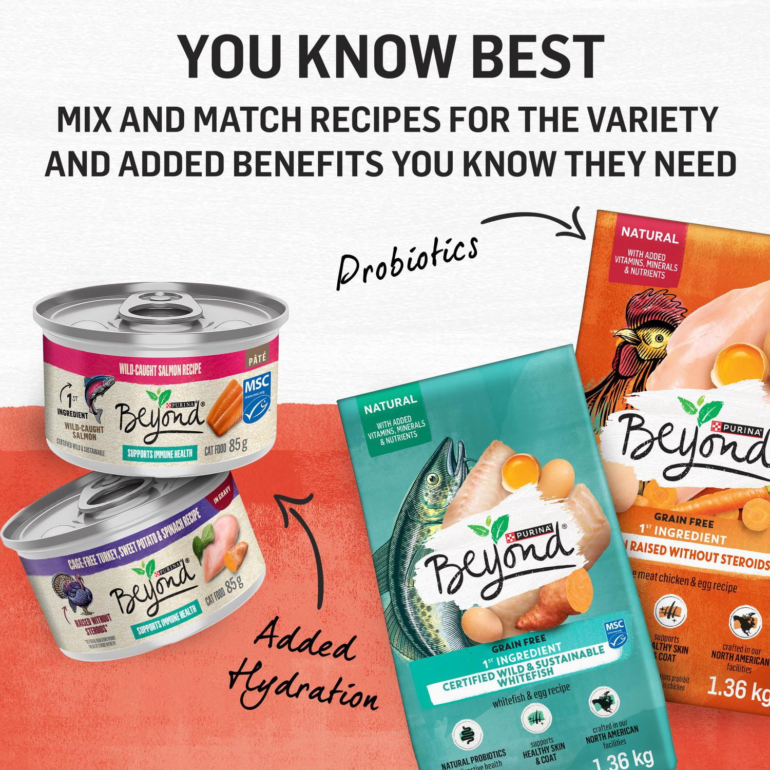 Beyond Simply Recette de Saumon et de Riz Brun Entier, Nourriture Sèche pour Chats 1,36 kg