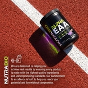 NutraBio Alpha EAA - All-Day Aminos - Recovery, Energy, Focus, and Hydration Supplement - Full Spectrum EAA BCAA Matrix, Electrolytes, Nootropics, Coconut Water - 30 Servings - Grape Berry Crush
