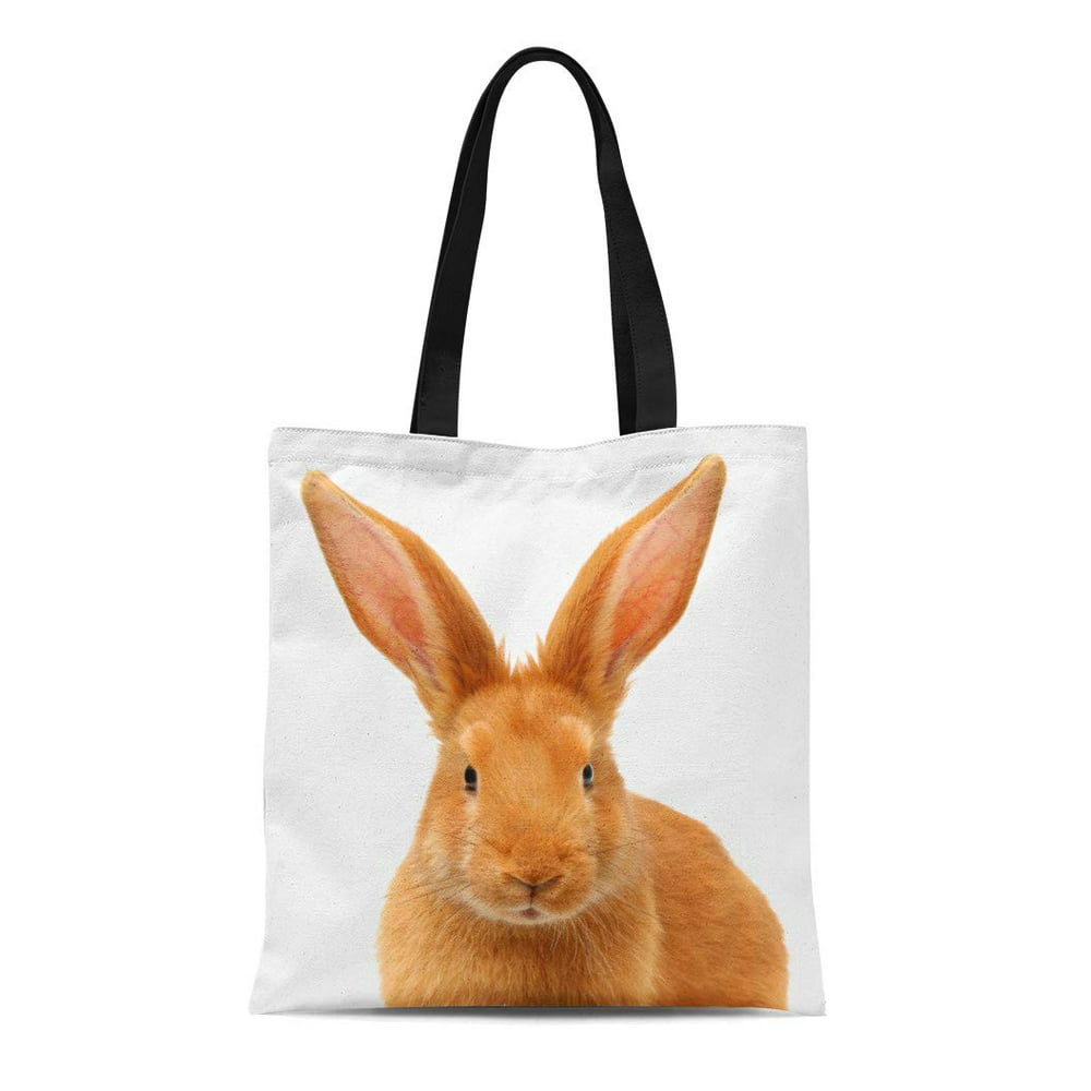 ASHLEIGH Canvas Tote Bag Gray Bunny Orange Rabbit on Paw Tail White ...