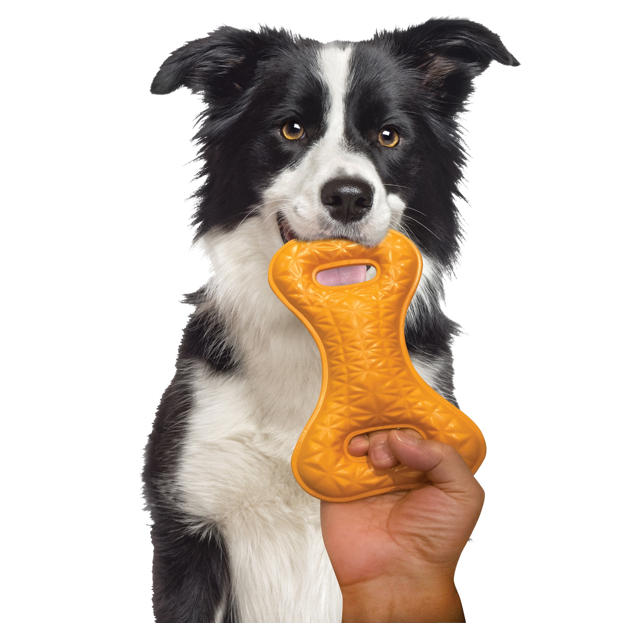 Best Friends Dog Tug Toy