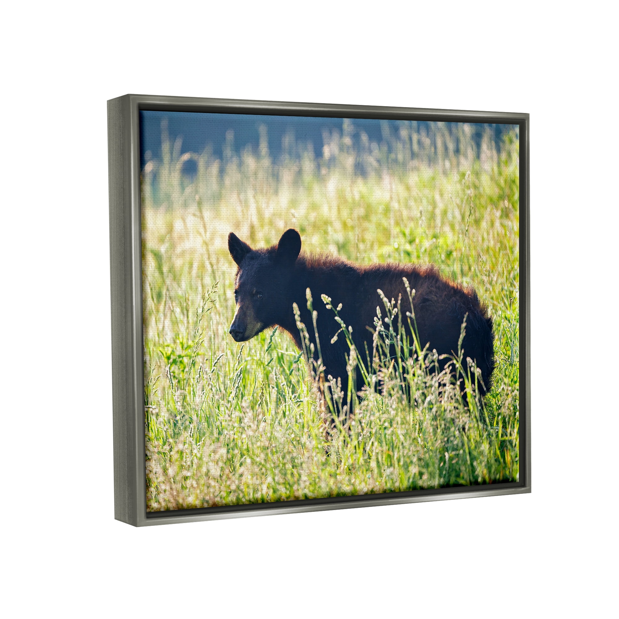 Stupell Baby Bear Tall Grassland Landscape Photography Gray Floater Framed Art Print Wall Art
