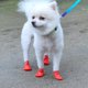 thumbnail image 5 of Botas de lluvia antideslizante Zulema para perro gato caucho Rojo L, 5 of 8
