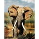 thumbnail image 1 of Diamond Painting (DE5129) Art Square Elephant 5D Kit DIY Drawing (LD484) 20X30cm Hugtrwg Para estrenar, 1 of 1