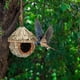 thumbnail image 5 of Casita de colibrí de paja tejida - Casita colgante para pájaros de exterior para decoración de jardín y regalo para amantes de las aves - Casita de colibrí para exterior., 5 of 6