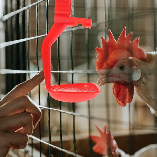 unbranded 10Ud Bebedero Profesional Para Pollos Para Uso En Granjas Y Crianza