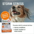 thumbnail image 2 of HomeoPet STORM STRESS Calming Support Drops for Pets, 15 mL, 2 of 7