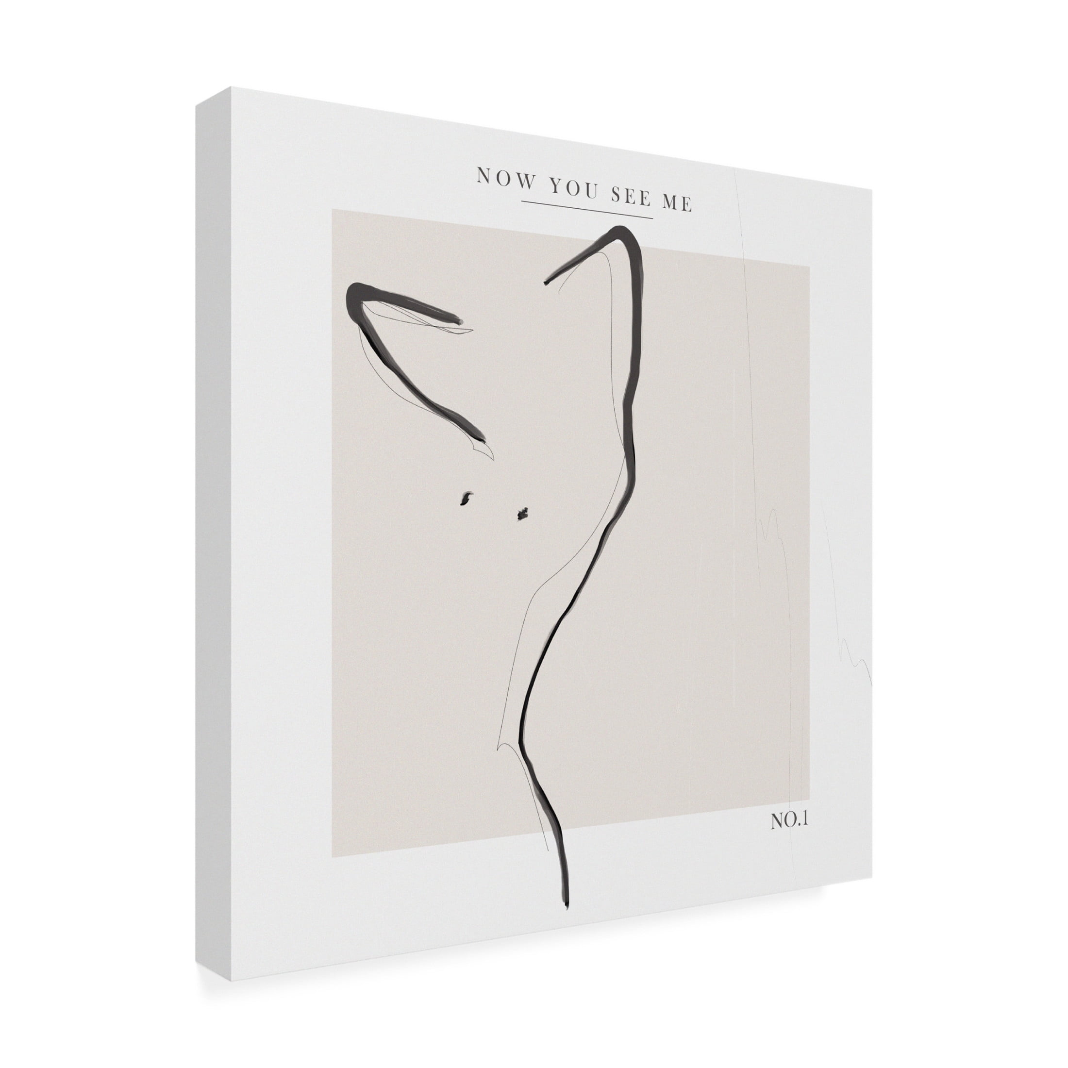 Trademark Fine Art Gabriella Roberg  Now You See Me Canvas Wall Art