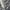 Gray, variant on Ierhent Little Kids Sneakers Toddler Boys Girls Sneakers Little Kids Casual Walking Shoes(Black,18-24 Months)