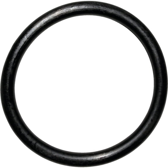 Danco O-Ring 1-9/16 " Od. X 1-5/16 " Id. X 1/8 " Nitrile Butadiene Rubber Cuthbert Polybag Pack of 5