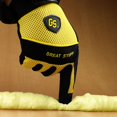 thumbnail image 2 of GREAT STUFF PRO W&D 20OZ (Lot de 1), 2 of 4