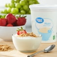 Great Value Plain Nonfat Yogurt, 32 oz