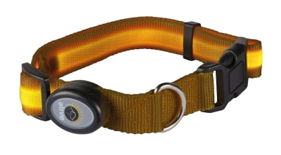 elive dog collar