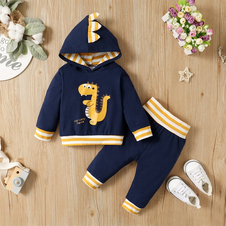 Kucnuzki 3 Months Baby Boy Winter Outfits Pants Sets 6 Months Long Sleeve Carton Dinosuar Prints Casual Hooded Tops Elastic Pants 2PCS Set Blue