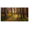thumbnail image 2 of Road through Thick Fall Forest - Modern Forest Canvas Art, 2 of 3