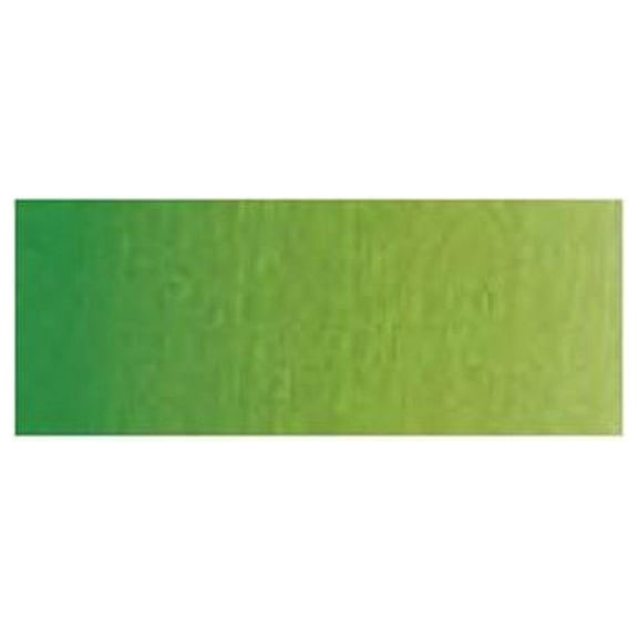 Winsor & Newton 0114503 Artists Watercolor 37ml Permanent Sap Green