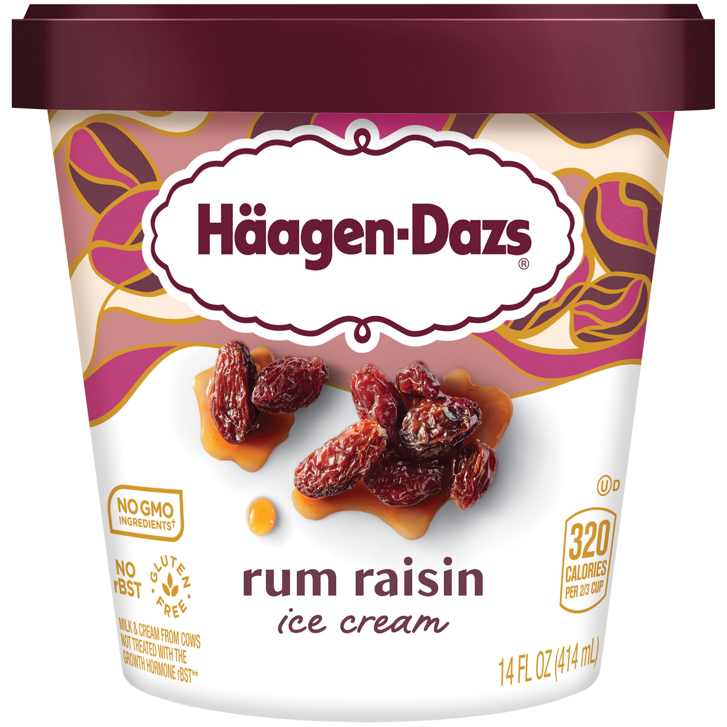 Haagen Dazs Rum And Raisin
