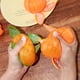thumbnail image 5 of Juguetes para piscina, juguetes para bebés, juguetes para niños pequeños, juguete antiestrés, naranja de simulación, válvula de descompresión, pelota antiestrés, 5 of 8